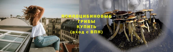 круглые Анива
