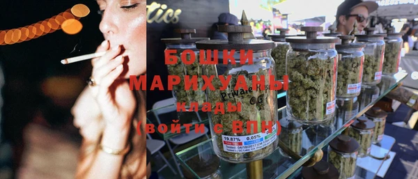 мдпв Володарск