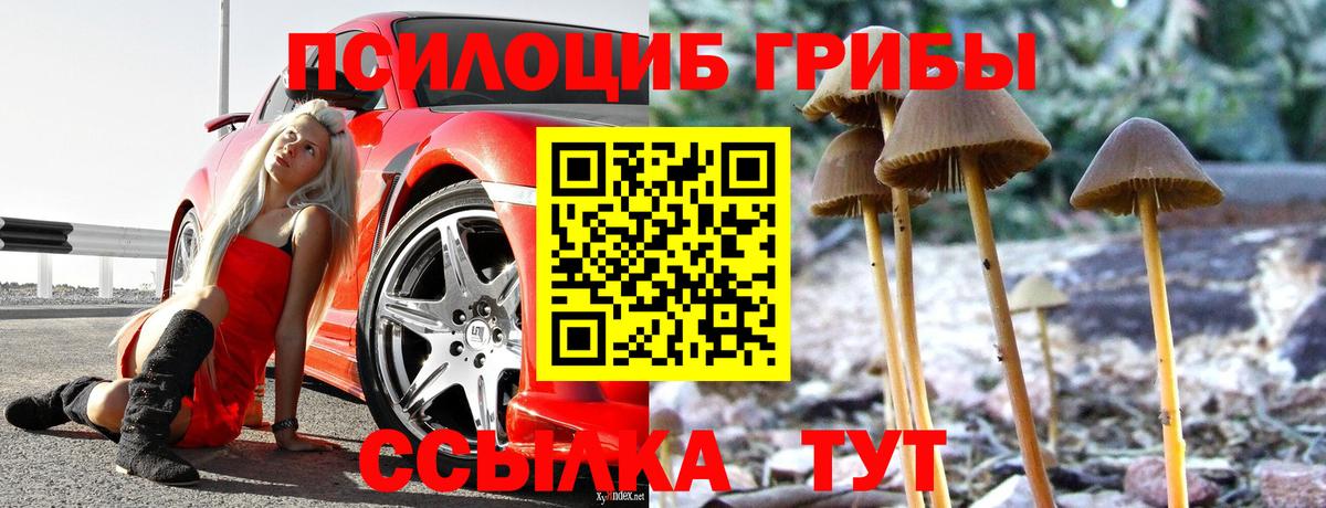Галлюциногенные грибы GOLDEN TEACHER Выкса