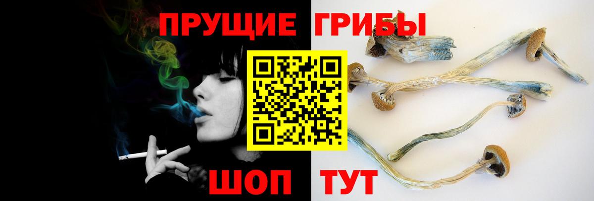 даркнет сайт  Вход с VPN  Выкса  Псилоцибиновые грибы мицелий 